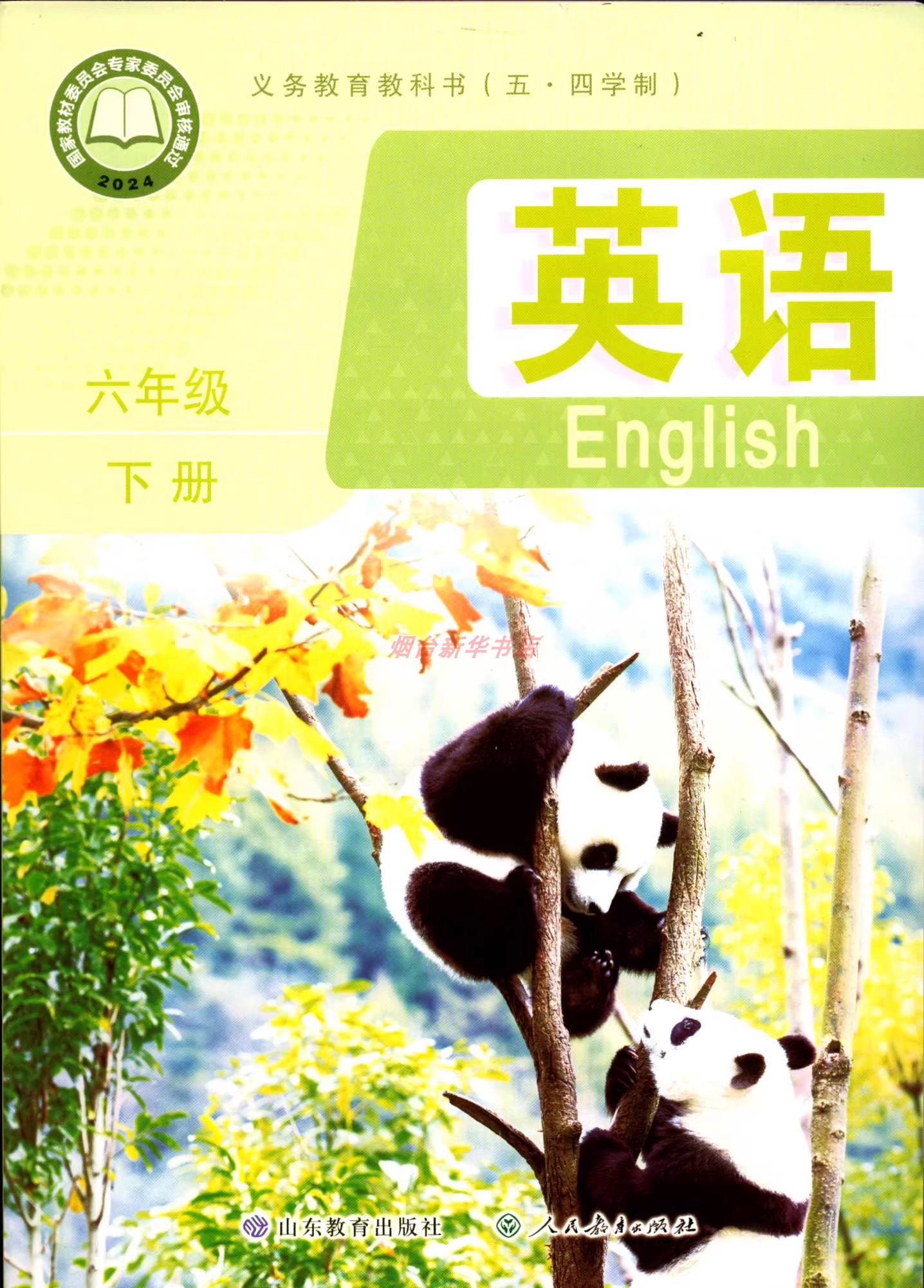 鲁科版六年级下册单词点读